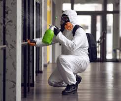 Montague, CA Mold Removal & Remediation Company